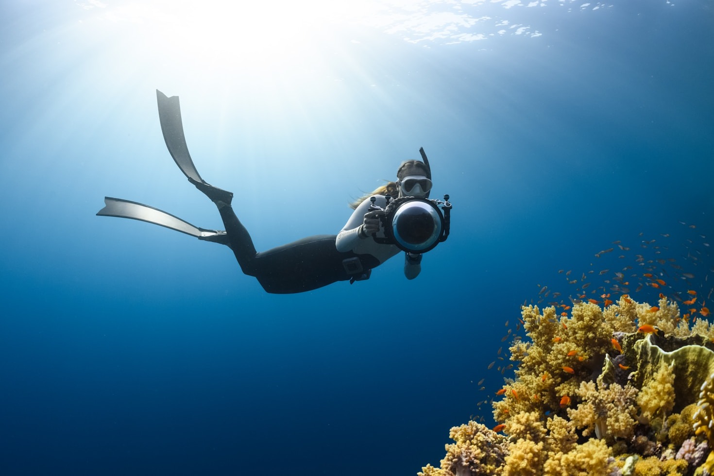Stories of Triumph in the Underwater World