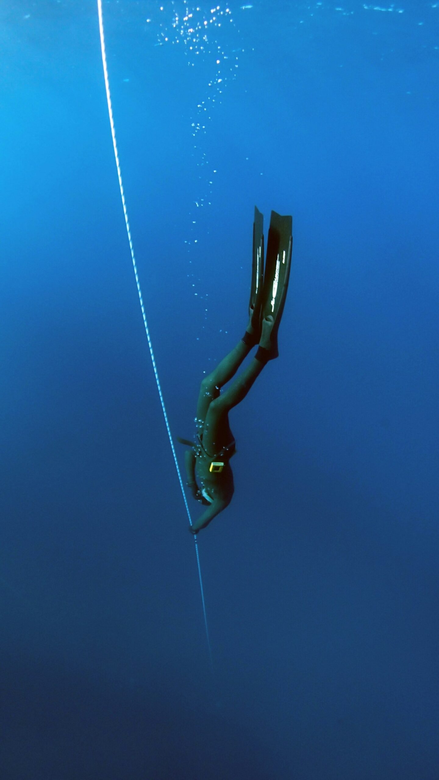 What to Expect on Your First Inclusive Dive
