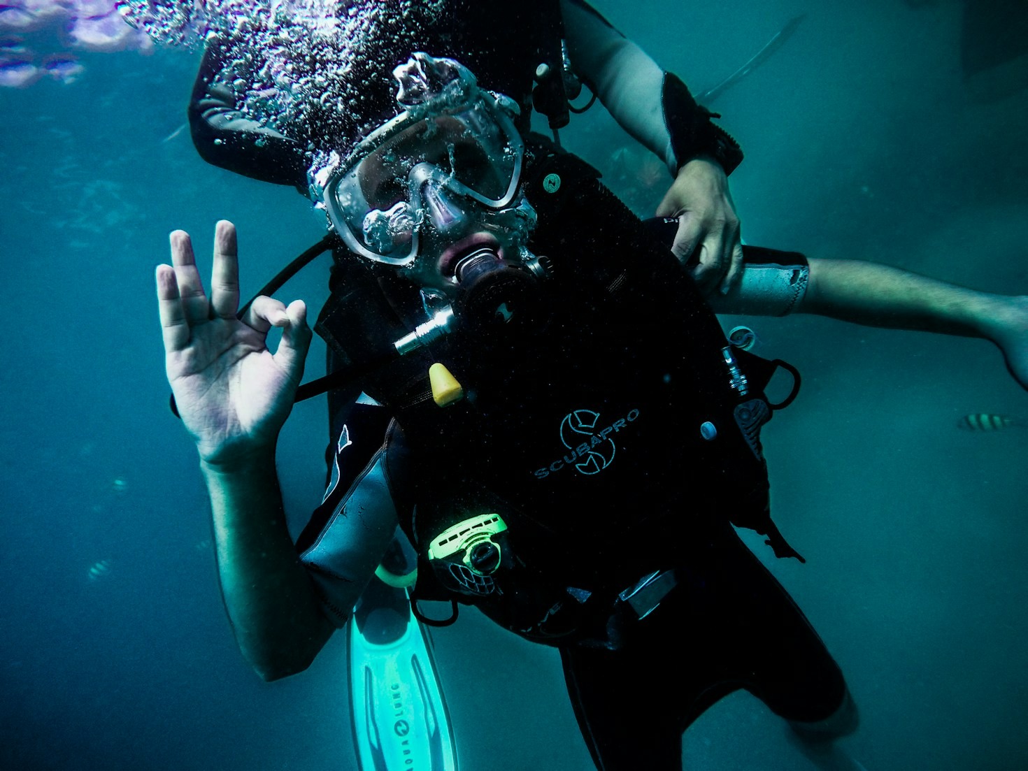 Exploring Marine Life Through Empowered Eyes